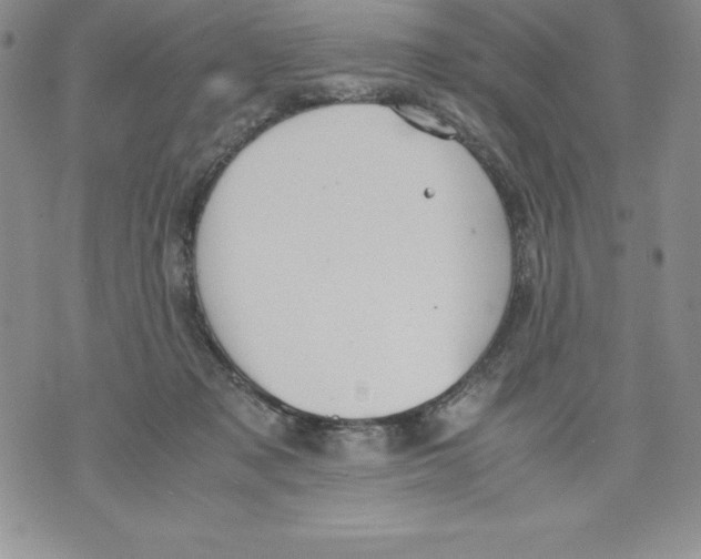 X0000071780317200607282244