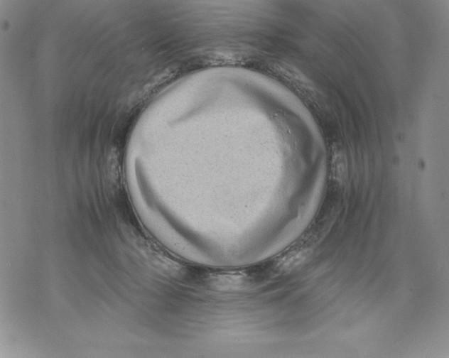 X0000071780318200607282244