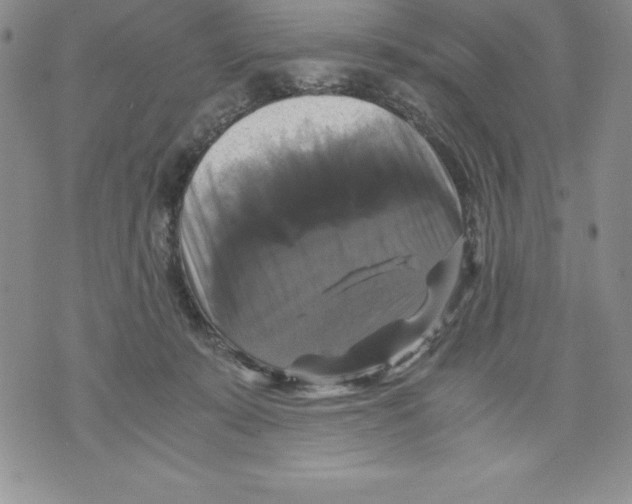 X0000071780319200607282244