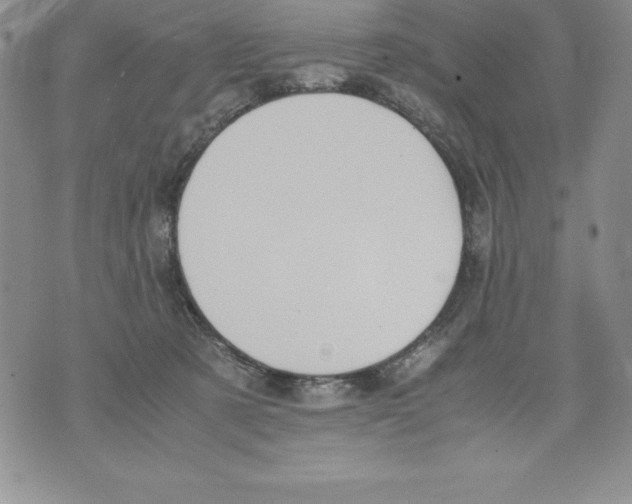 X0000071780321200607282244