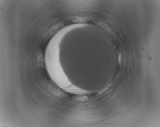 X0000071780322200607282244