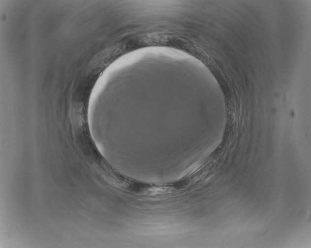 X0000071780323200607282244