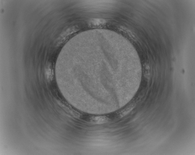 X0000071780324200607282244