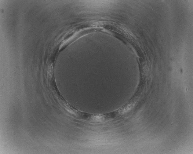 X0000071780325200607282244