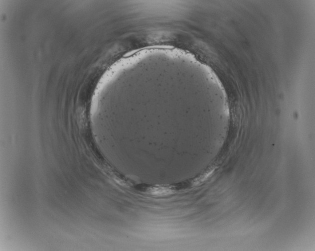 X0000071780327200607282244