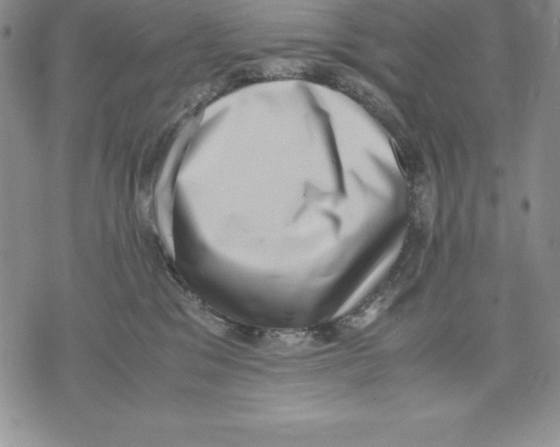 X0000071780329200607282244