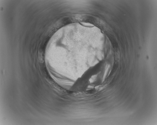 X0000071780331200607282244