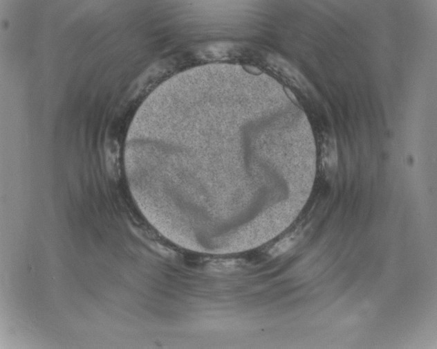 X0000071780332200607282244