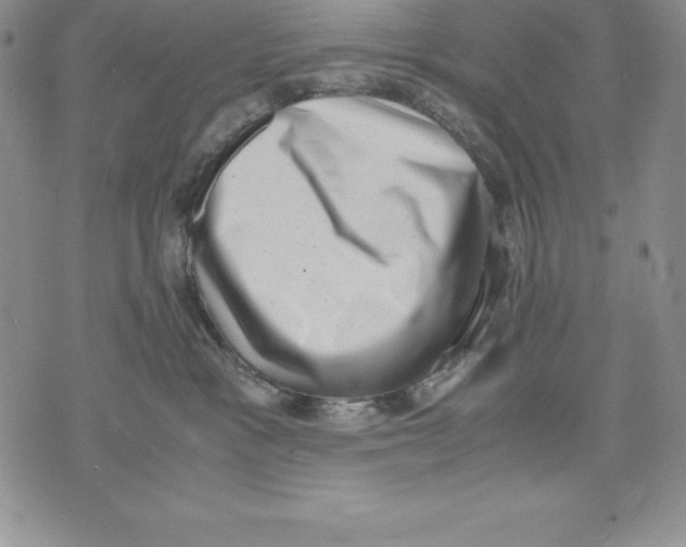 X0000071780333200607282244