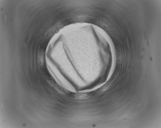 X0000071780334200607282244