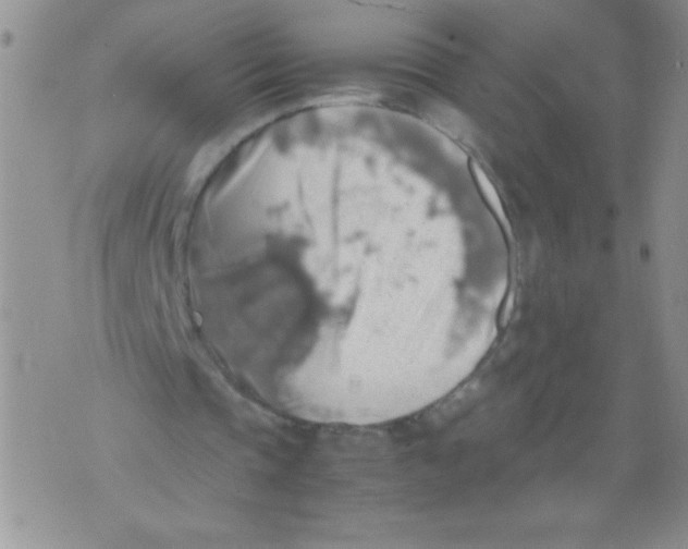 X0000071780337200607282243