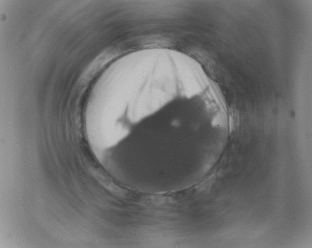 X0000071780339200607282243