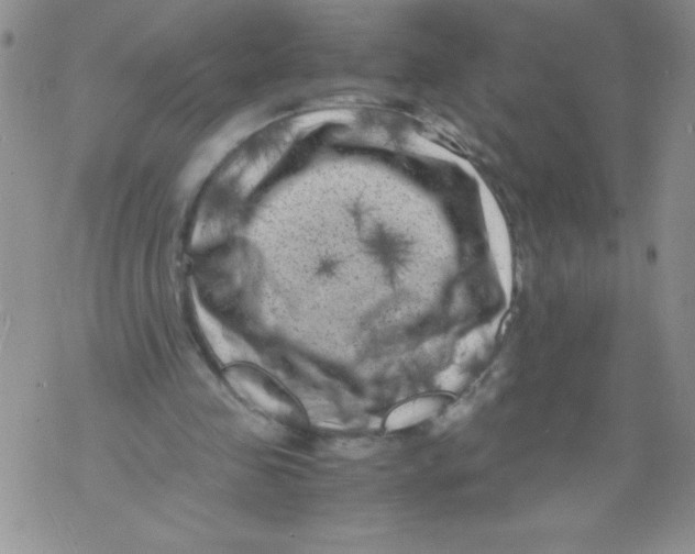 X0000071780341200607282243