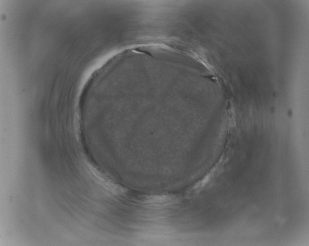 X0000071780342200607282243