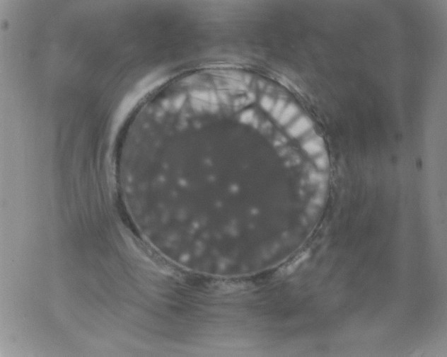 X0000071780343200607282243