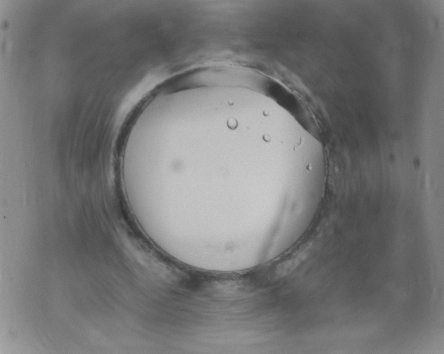 X0000071780344200607282243