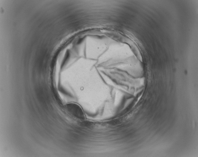 X0000071780346200607282243