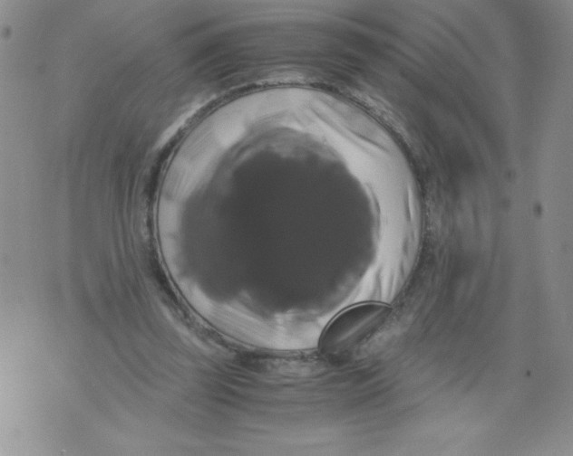 X0000071780347200607282243