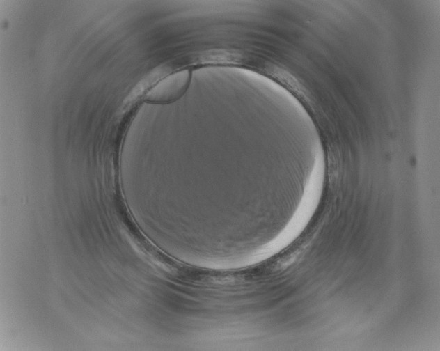 X0000071780349200607282243