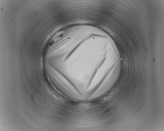 X0000071780350200607282243