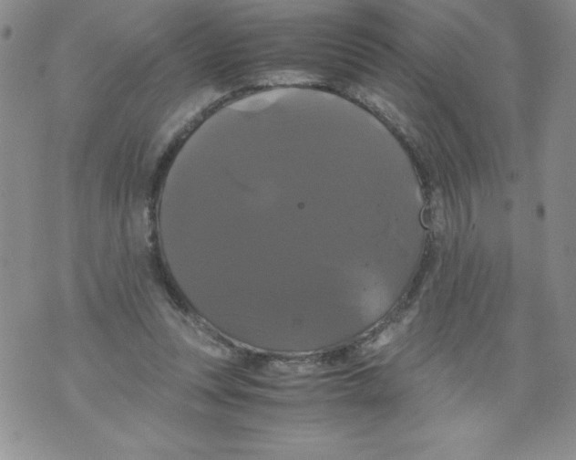 X0000071780351200607282243