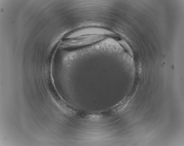 X0000071780352200607282243