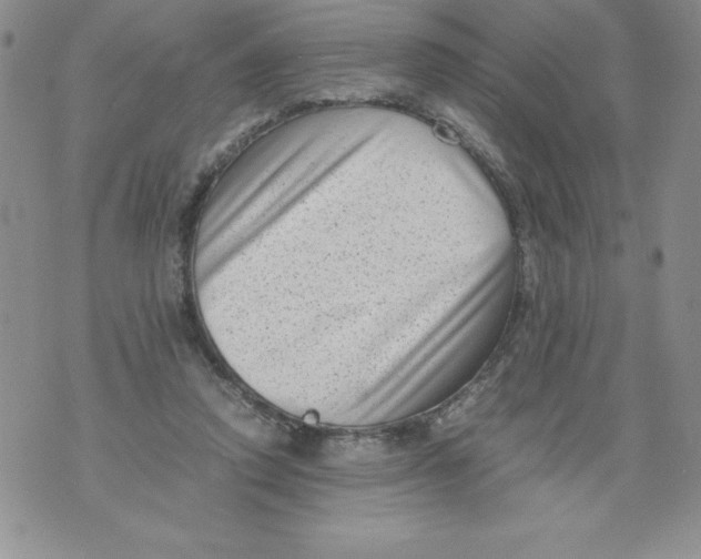 X0000071780354200607282244