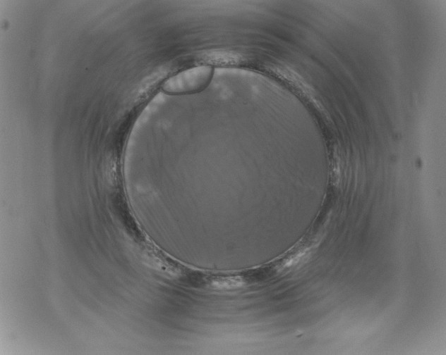 X0000071780355200607282244