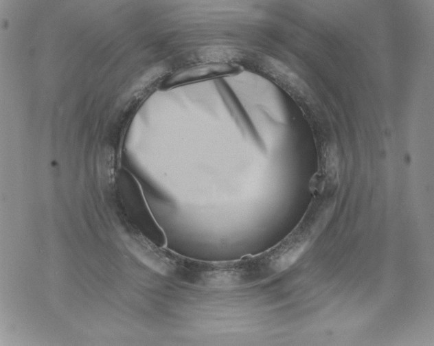 X0000071780356200607282244