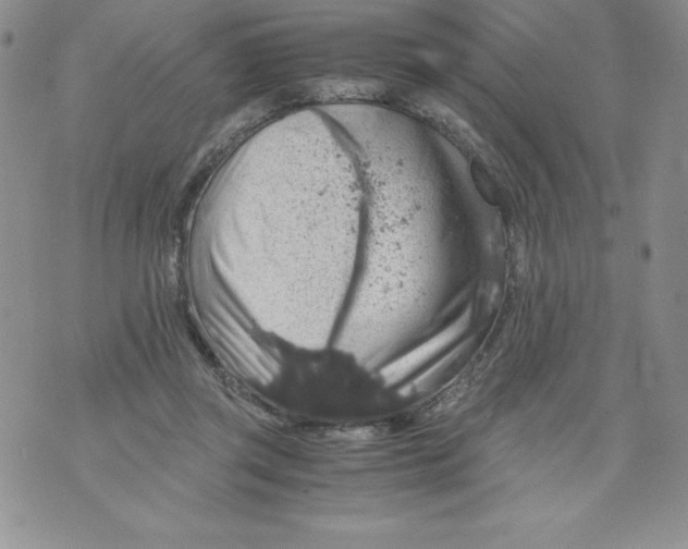 X0000071780357200607282244