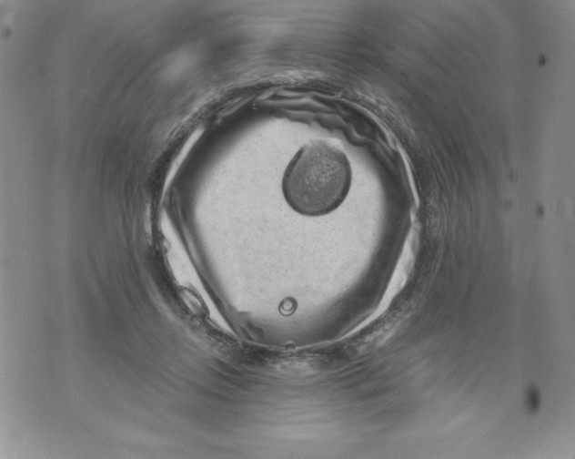 X0000071780358200607282244