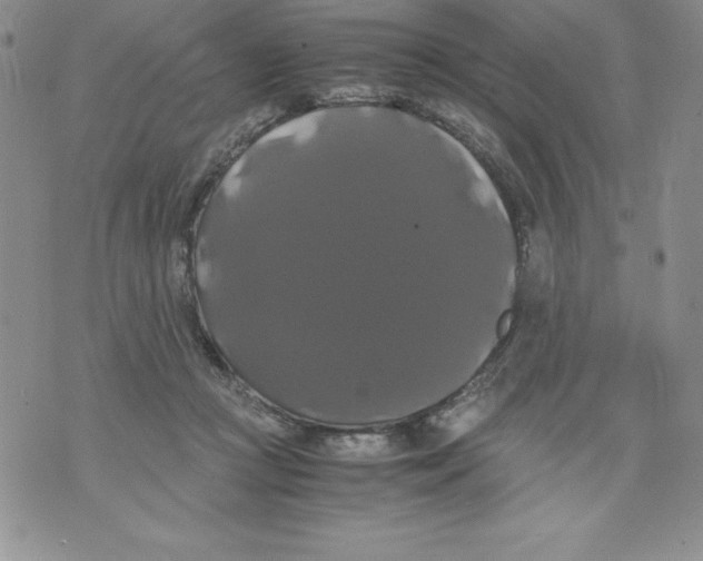 X0000071780361200607282244