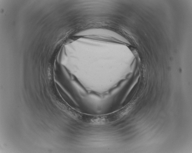 X0000071780362200607282244