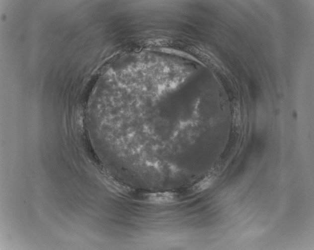 X0000071780363200607282244