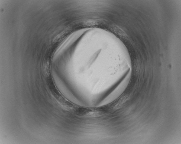 X0000071780364200607282244