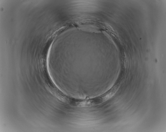 X0000071780366200607282244