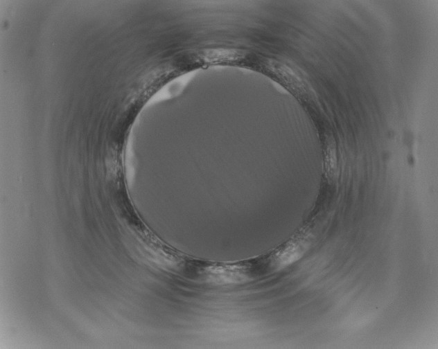 X0000071780367200607282244