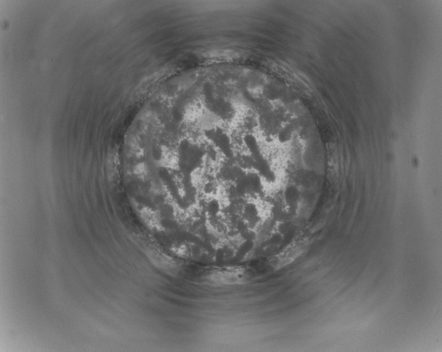 X0000071780369200607282244