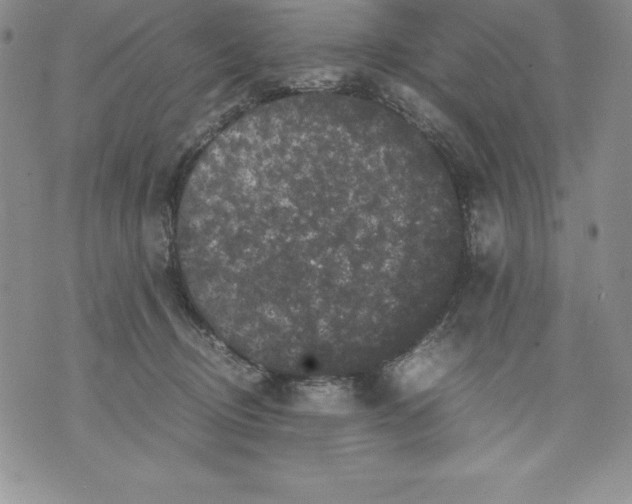 X0000071780370200607282244