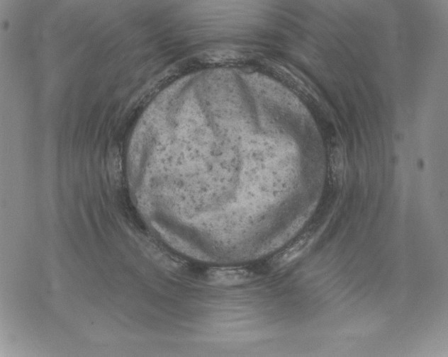 X0000071780372200607282244