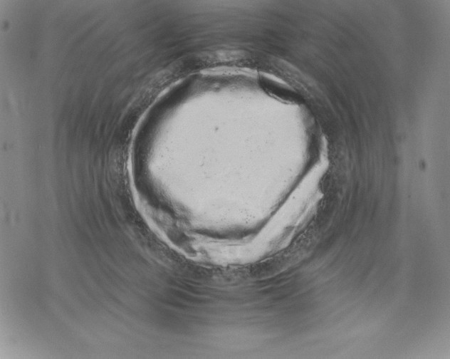 X0000071780373200607282244