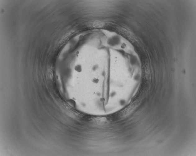 X0000071780374200607282244