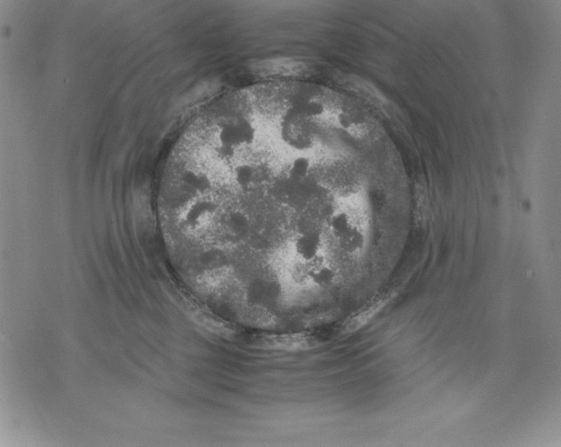 X0000071780377200607282244