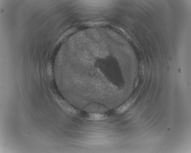 X0000071780380200607282244