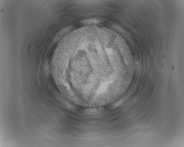 X0000071780381200607282244