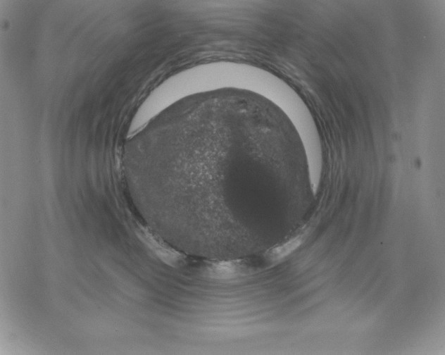 X0000071780382200607282244