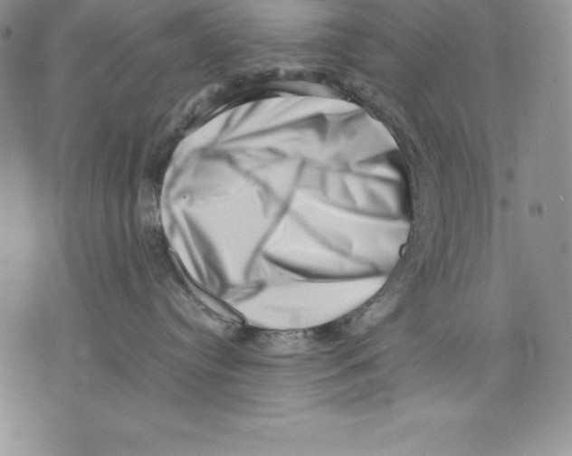 X0000071780384200607282244