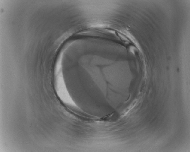 X0000071780385200607282243