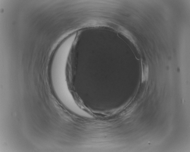 X0000071780387200607282243