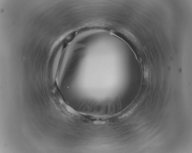 X0000071780388200607282243